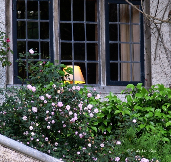 Bois des Moutiers (70) Juin 2012